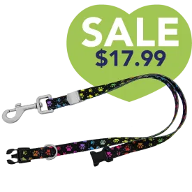20″ Polyester Loop Rainbow Pretty Paws by Groom Loop