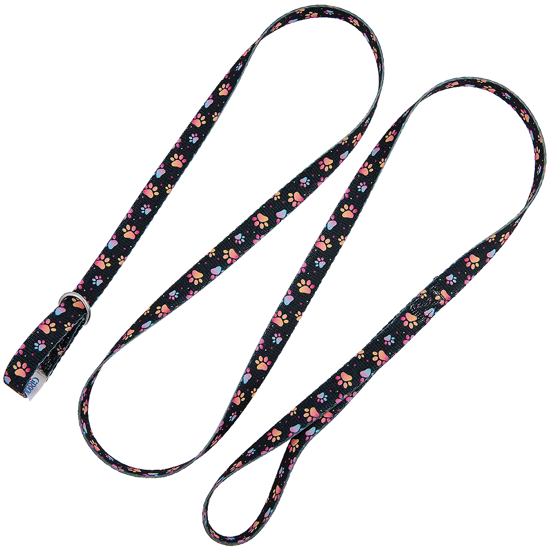 5ft Slip-Lead Leash Pretty Paws by Groom Loop