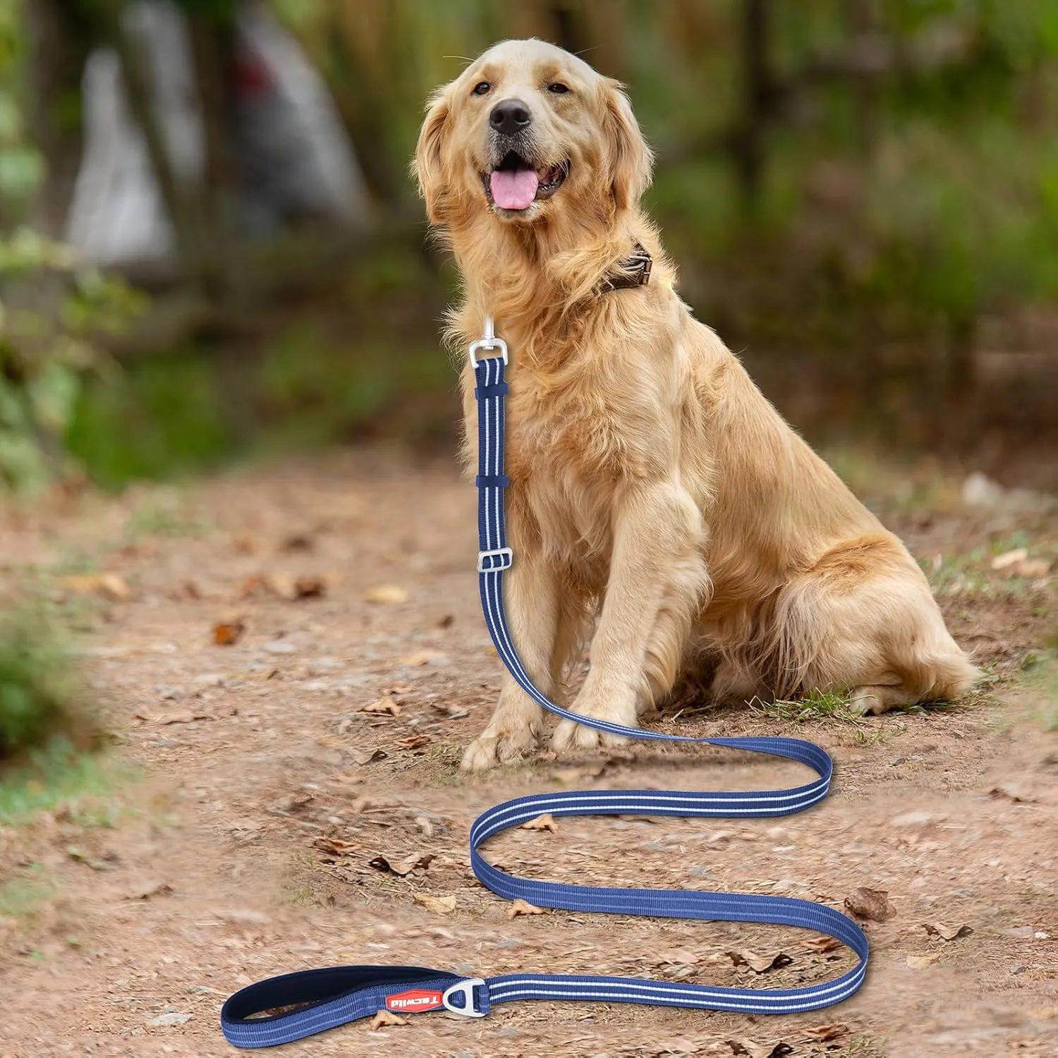 Adjustable Dog Leash with Soft Padded Handle, Reflective Long Lead for All Breeds Dogs, Heavy Duty Long Line Leash for Dog Walking and Training (Blue-L)