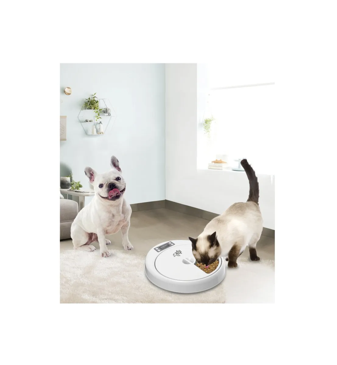 All For Paws Lifestyle 4 Pets 5 Meal Feeder