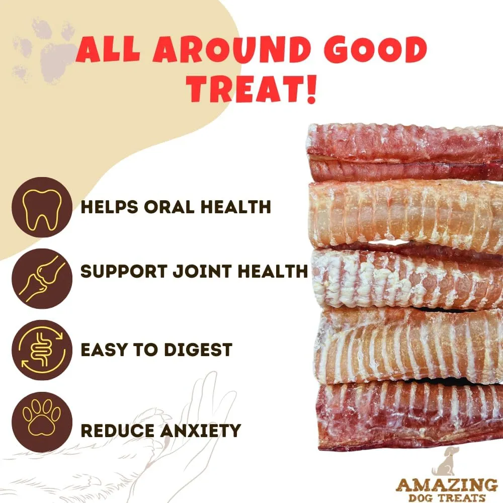 Amazing Dog Treats - 6 Inch Beef Trachea Dog Chews (20 pcs - 32 oz) - Trachea Dog Treats - NO Hide - Digestible and Safe Chews for Dogs - Glucosamine and Chondroitin for Joint Health for Dogs