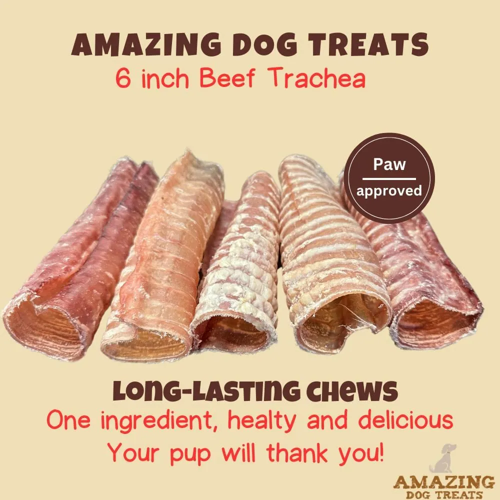 Amazing Dog Treats - 6 Inch Beef Trachea Dog Chews (20 pcs - 32 oz) - Trachea Dog Treats - NO Hide - Digestible and Safe Chews for Dogs - Glucosamine and Chondroitin for Joint Health for Dogs
