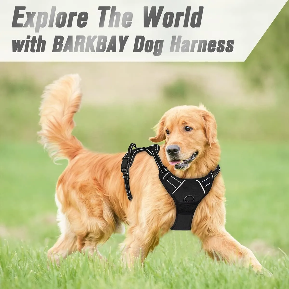 BARKBAY No Pull Dog Harness Front Clip Heavy Duty Reflective Easy Control Handle for Large Dog Walking(Black,XL)