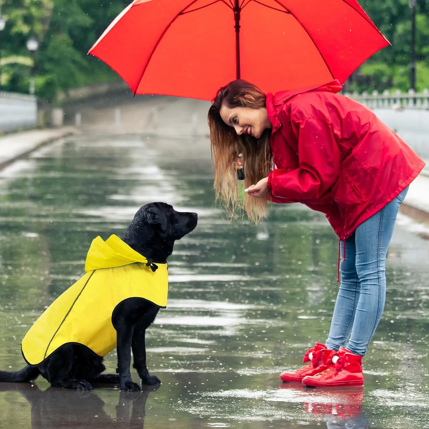 BiPawTi Dog Rain Coats for Medium Dogs Waterproof Dog Jacket, Lightweight Reflective Safety Rain Jacket, Medium Pet Raincoat with Hood/Leash Hole/Reflective Strip - Yellow, M
