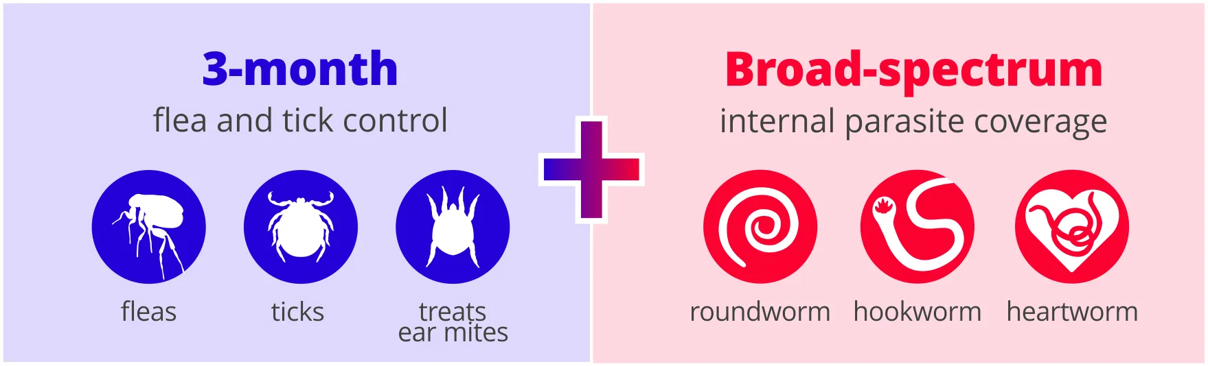 Bravecto Plus Cat