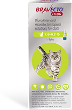 Bravecto Plus Cat
