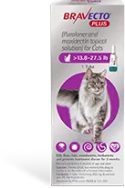 Bravecto Plus Cat