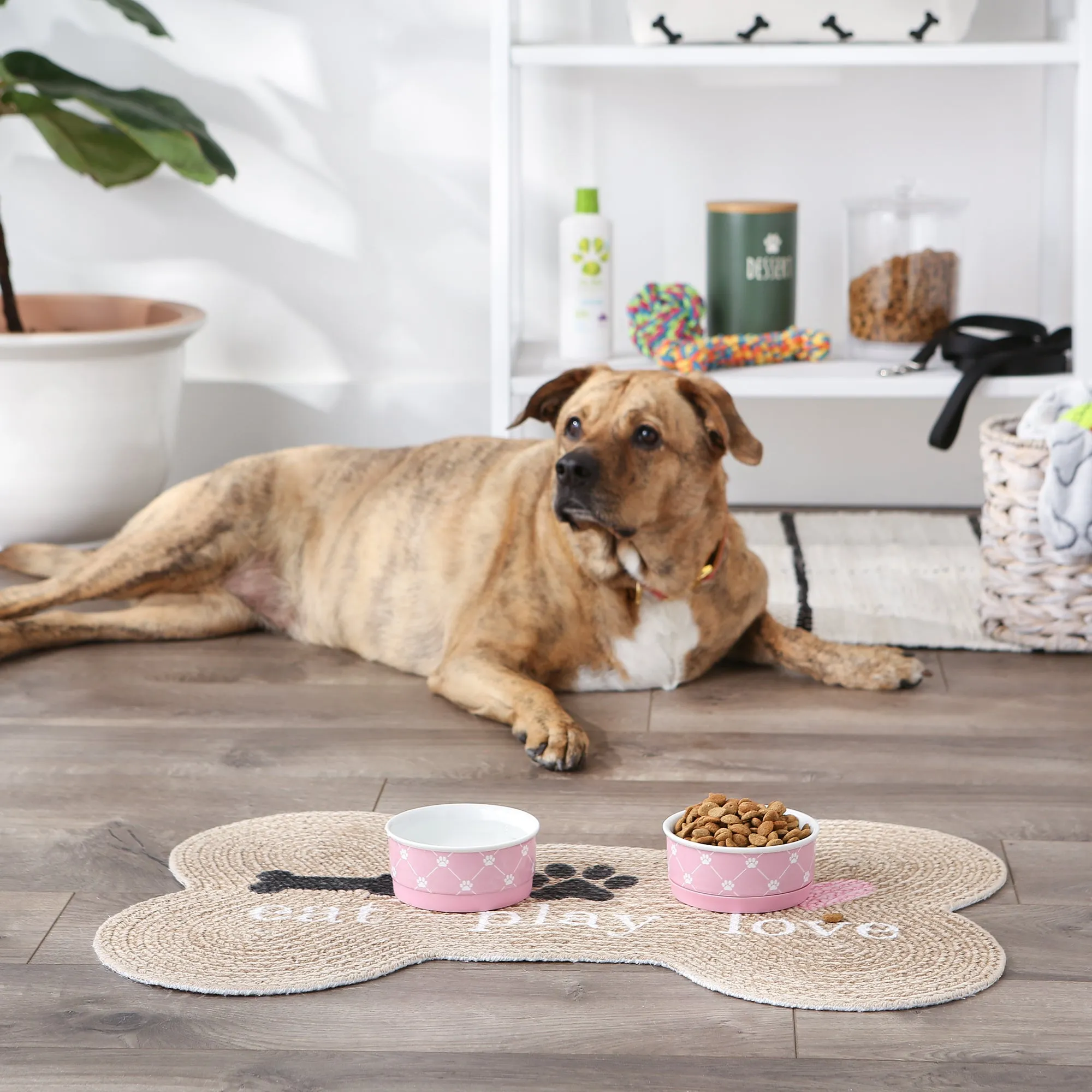 Bubble Gum Pink Blue Trellis Paw Print Pet Bowl Set of 2 , Small - 3/4 C Capacity