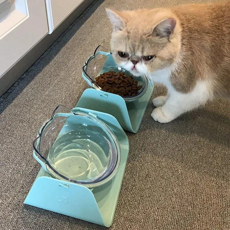 Cat Bowls Dogs Feeders Cats Feeding Bowl With Raised Stand For Cats