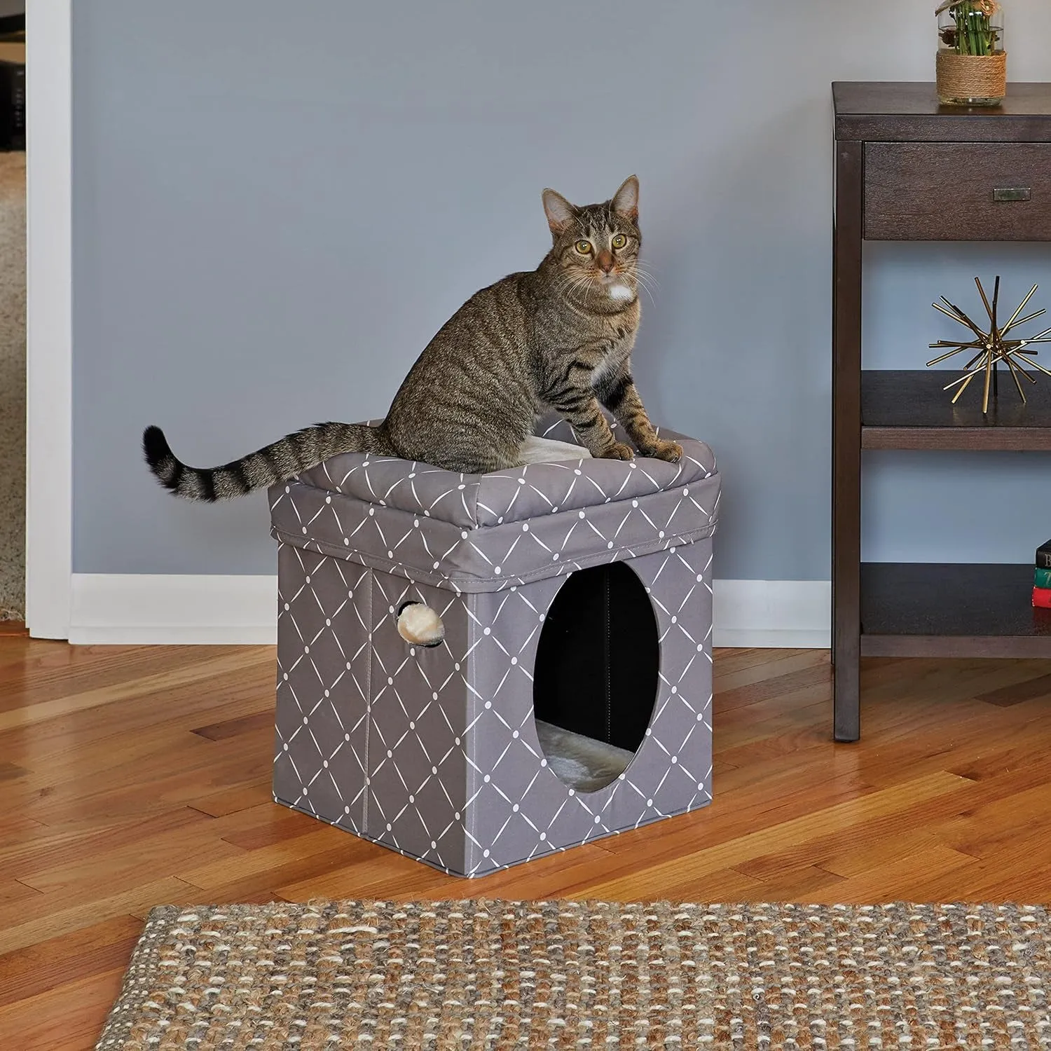 Cat Hous  in Fashionable Mushroom Diamond Print