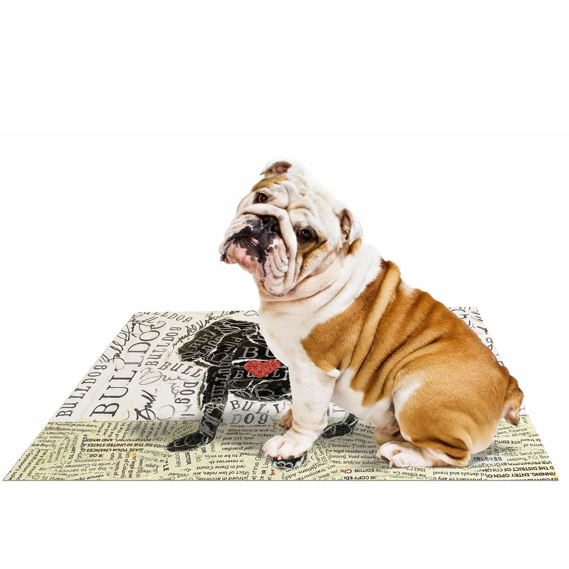 Custom Bulldog PetFlat - Premium Vinyl Mat
