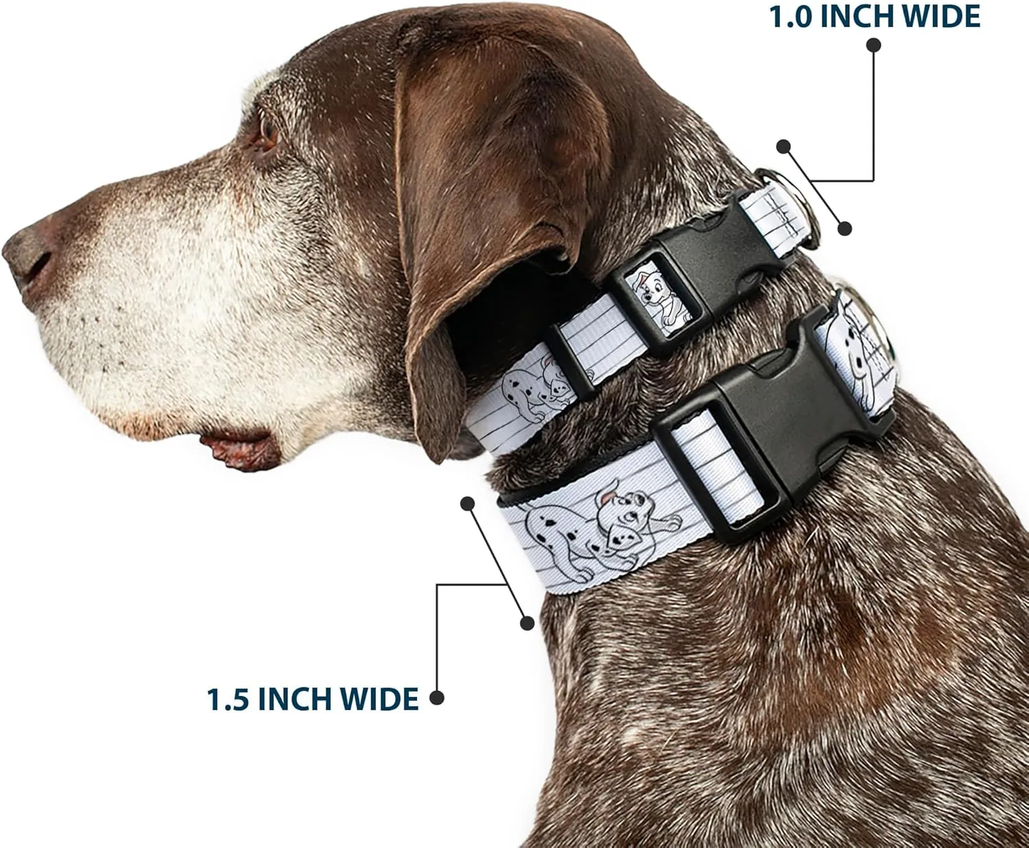 Disney Pet Collar, Dog Collar Plastic Buckle, One Hundred and One Dalmatians Puppies Playing White Black, 15 to 24 Inches 1.0 Inch Wide