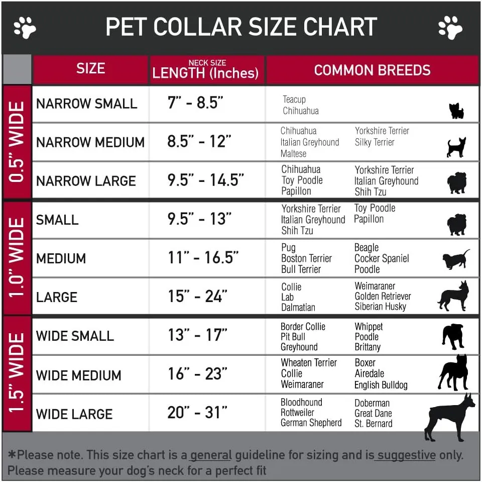 Disney Pet Collar, Dog Collar Plastic Buckle, One Hundred and One Dalmatians Puppies Playing White Black, 15 to 24 Inches 1.0 Inch Wide