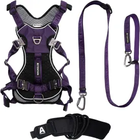 Easy Walk No Pull Dog Harness and Heavy Duty Tactical Dog Leash Bundle, Midnight Purple, Medium