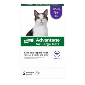 Elanco Advantage Large Cat 2-Month Dose Spot-on Topical Flea and Tick Treatment - 9  Lbs - 2 Pack