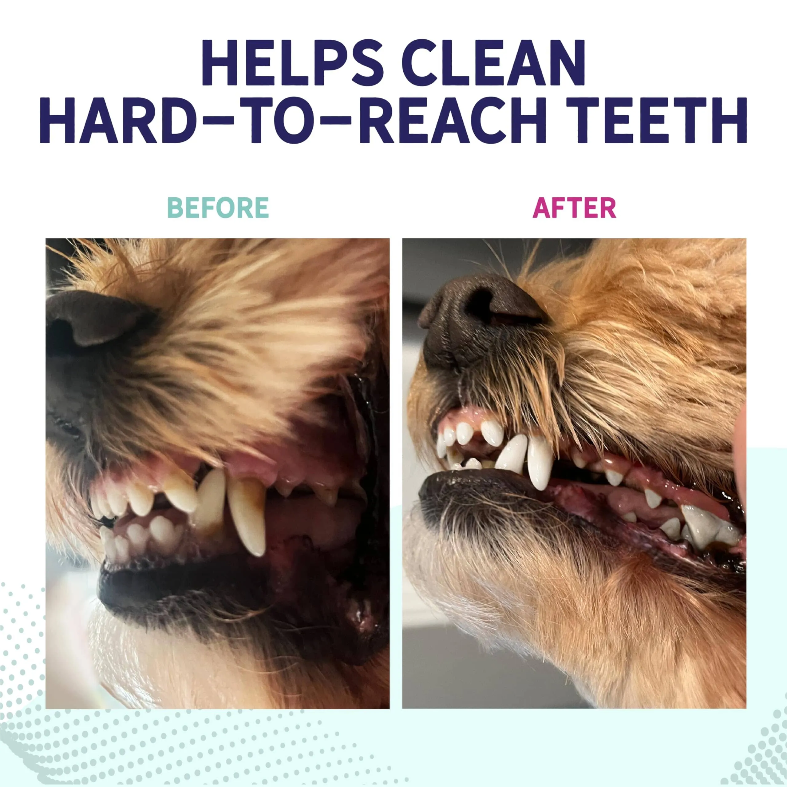 Health Extension Peanut Butter Bone-Shaped Dental Dog Chews - Large - 3 Pack