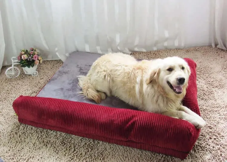 Large Dog Bed Sofa