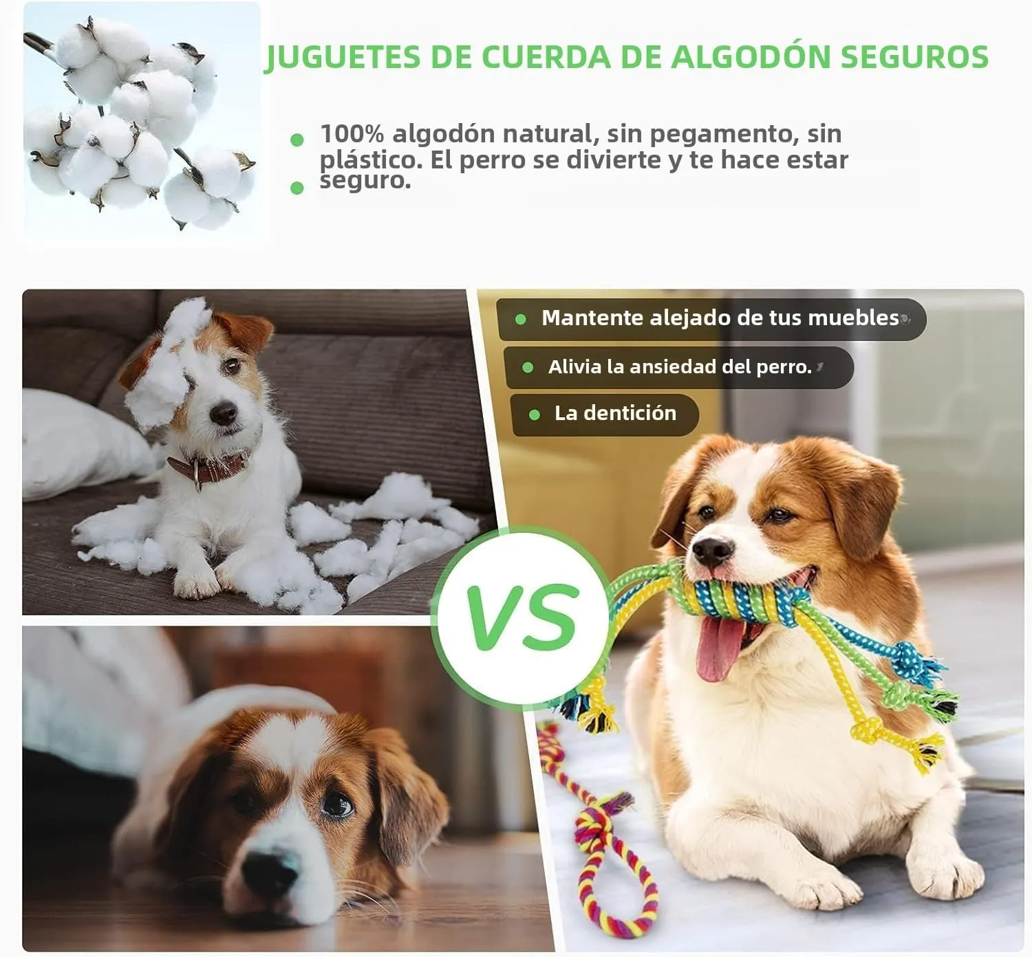 LEGEND SANDY Dog Squeaky Toys for Small Dogs, 12 Pack Puppy Toys for Teething, Cute Small Dog Animals Stuffed Plush Pet Toy Bundle, Natural Cotton Puppy Rope, Puppy Chew to Keep Them Busy