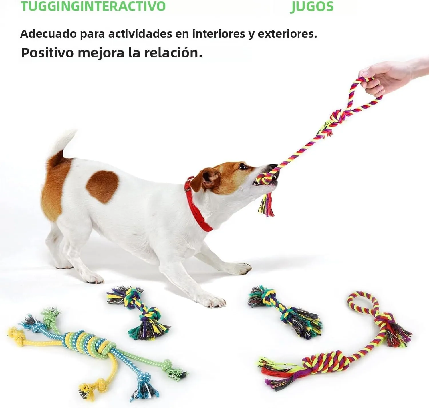 LEGEND SANDY Dog Squeaky Toys for Small Dogs, 12 Pack Puppy Toys for Teething, Cute Small Dog Animals Stuffed Plush Pet Toy Bundle, Natural Cotton Puppy Rope, Puppy Chew to Keep Them Busy