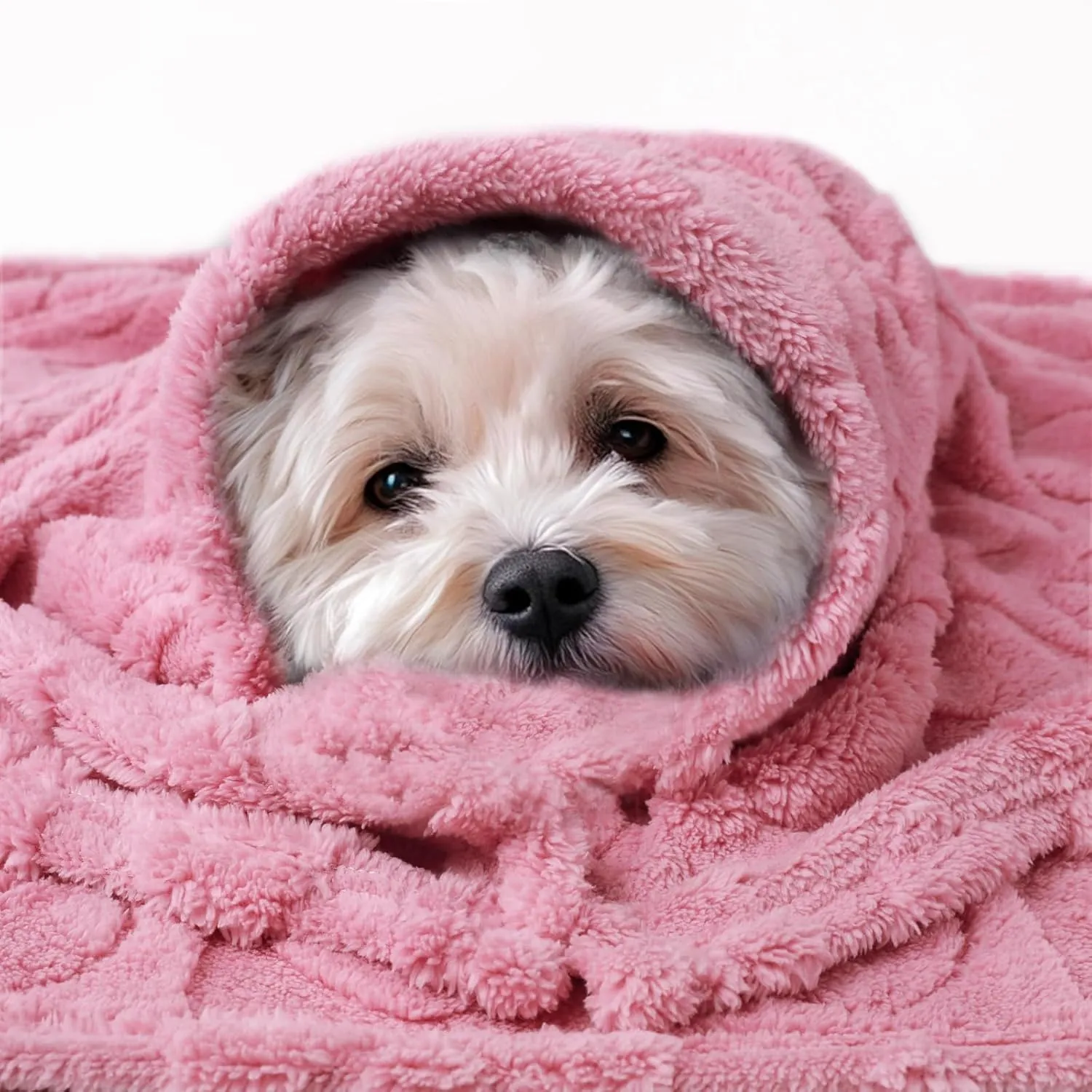 Luciphia Small Dog Blanket Washable Pet Bed Cover Soft Fluffy Puppy Couch Protector with Premium Fleece Cozy Calming Cat Blankets for Indoor Cats Pink 30x20 inch