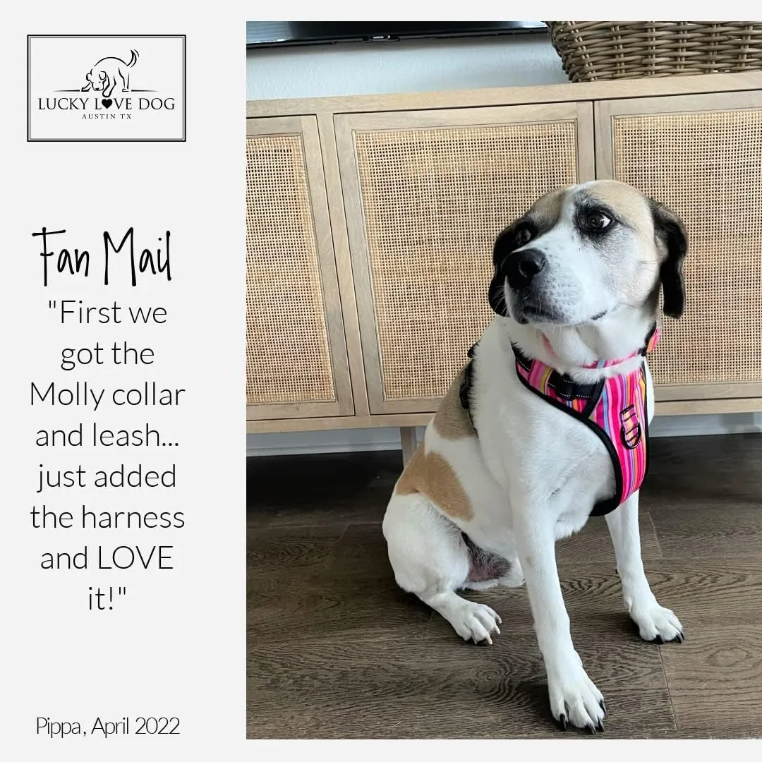 Lucky Love Dog No Pull Dog Harness, Adjustable and Easy to Walk, Cute Patterned Harness for Small Medium Large Male & Female Dogs - Molly, XS
