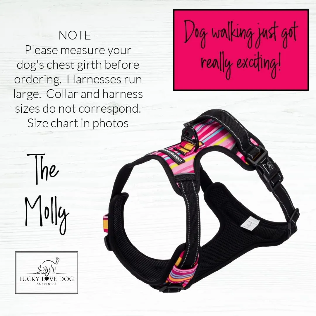 Lucky Love Dog No Pull Dog Harness, Adjustable and Easy to Walk, Cute Patterned Harness for Small Medium Large Male & Female Dogs - Molly, XS