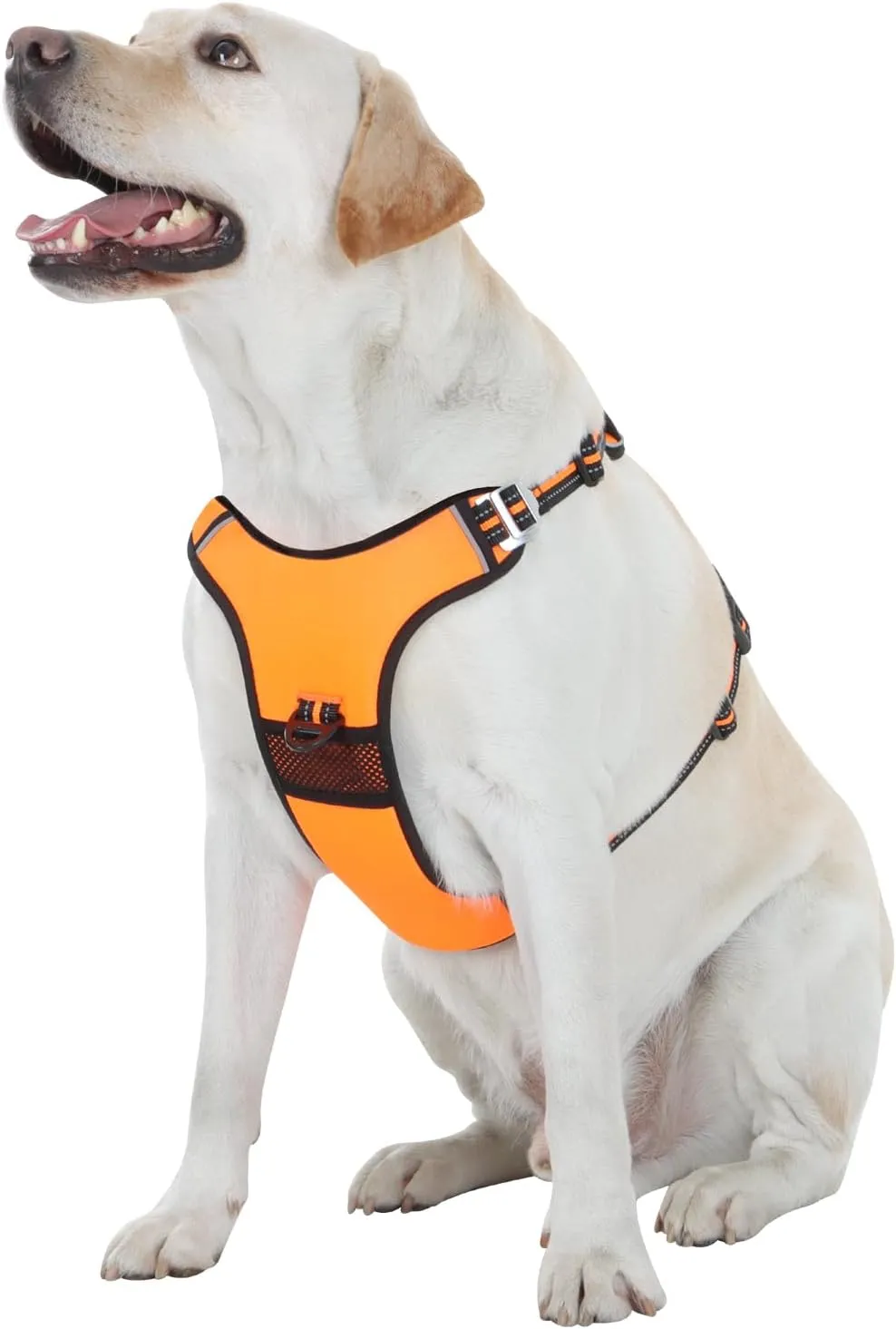 No Pull Dog Harness with 3 Snap Buckles,No Choke Front Lead pet Harness Reflective and Adjustable Soft Padded Vest for Small Medium Large Dog (Orange, Large)