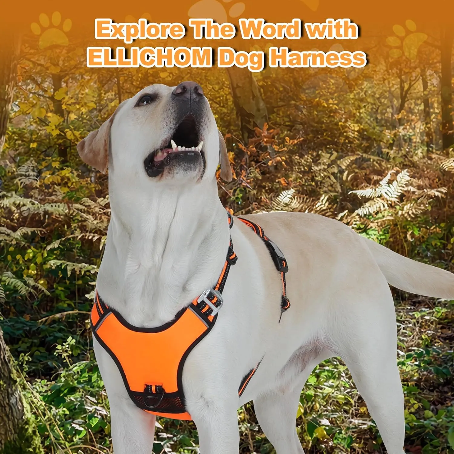 No Pull Dog Harness with 3 Snap Buckles,No Choke Front Lead pet Harness Reflective and Adjustable Soft Padded Vest for Small Medium Large Dog (Orange, Large)