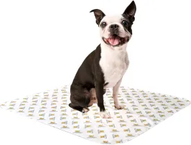 Original Washable, Reusable Potty Pad (Small) - Unmatched Odor Control, Leakproof Puppy Training Pee Pad
