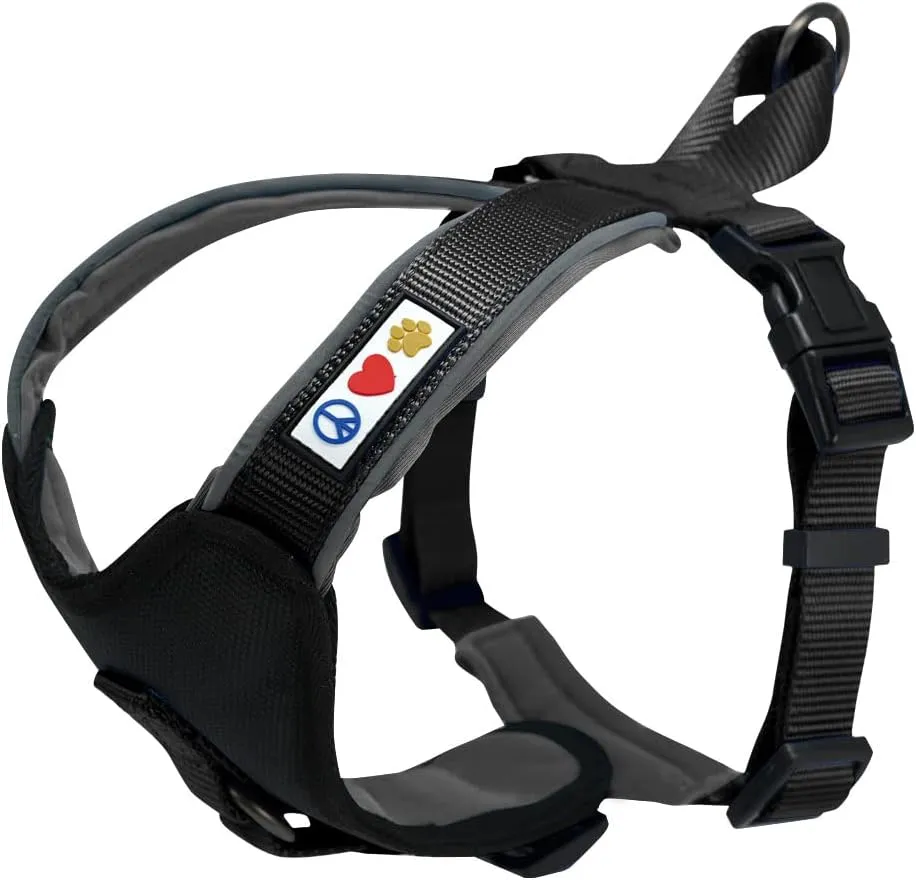 Pawtitas Reflective Dog Harness - Padded, Comfortable Control for Walks or Runs - XS, Black