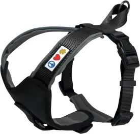 Pawtitas Reflective Dog Harness - Padded, Comfortable Control for Walks or Runs - XS, Black