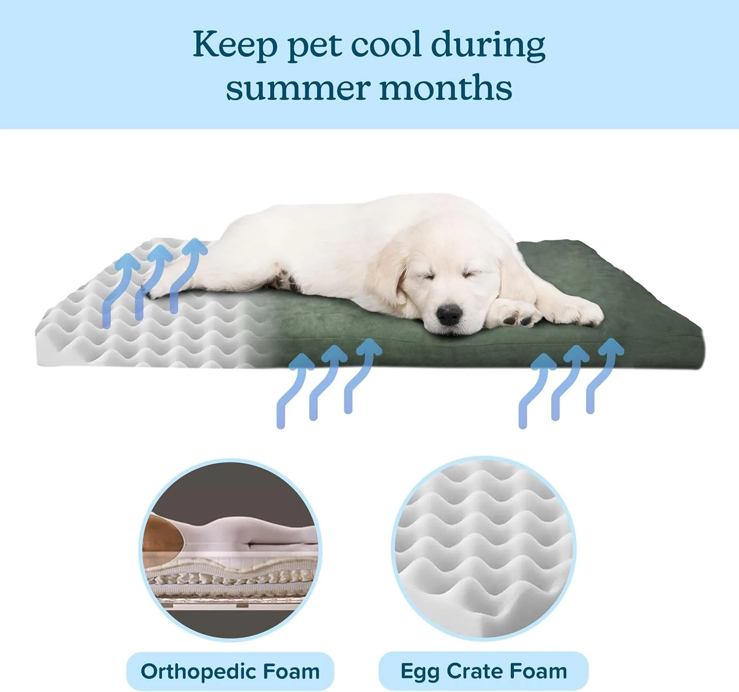 PETMAKER Dog Bed with Removable Cover  44x35 Pet Bed - 3-Inch Egg Crate Style Foam Orthopedic Dog Bed, Microsuede, and Non-Slip Crate Pad (Forest)