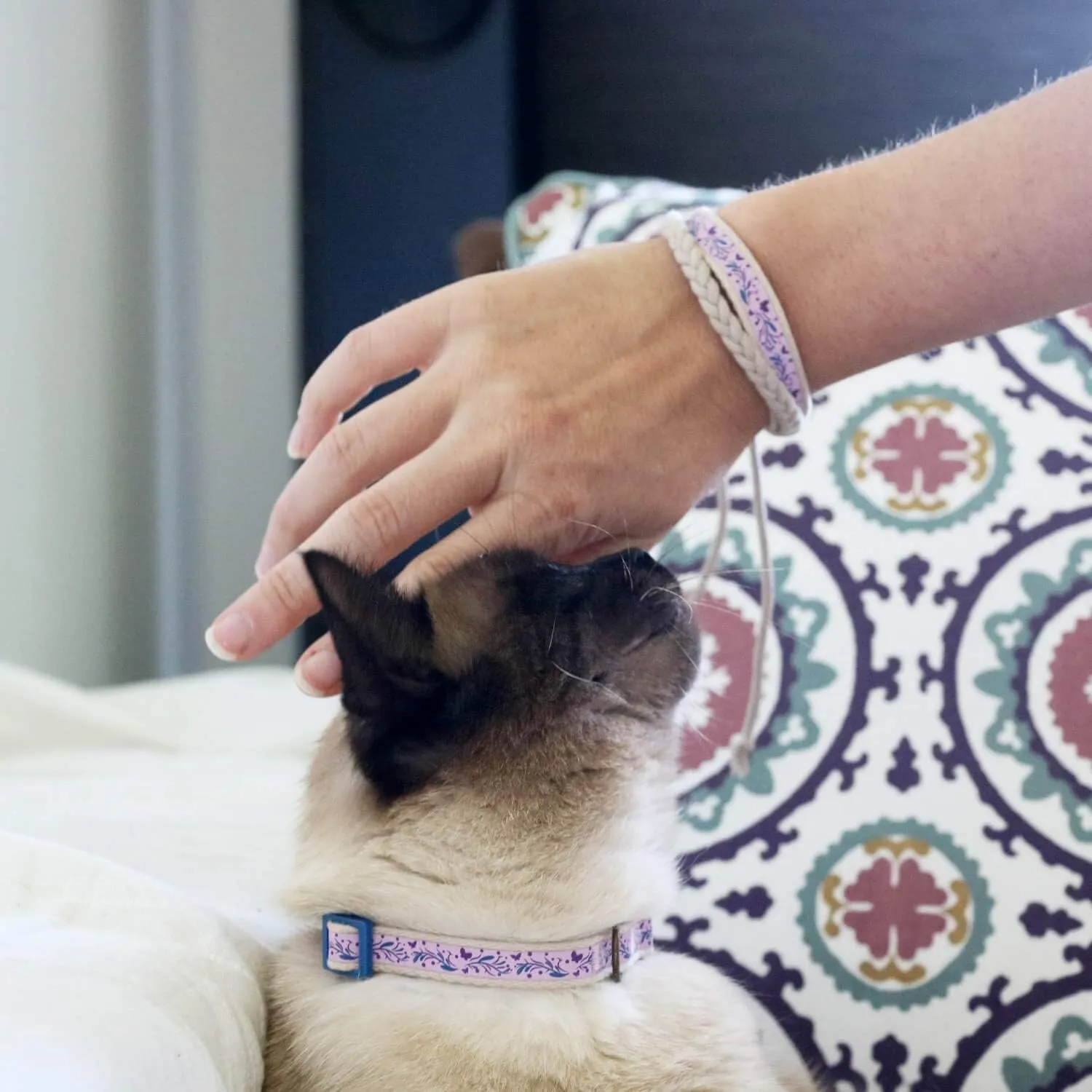 Pettsie Breakaway Cat Collar & Matching Friendship Bracelet  Adjustable, Soft Cotton Collar for Cats, Quick-Release Safety Buckle, Lightweight, Stylish, Anti-Lost ID Tag, Purple