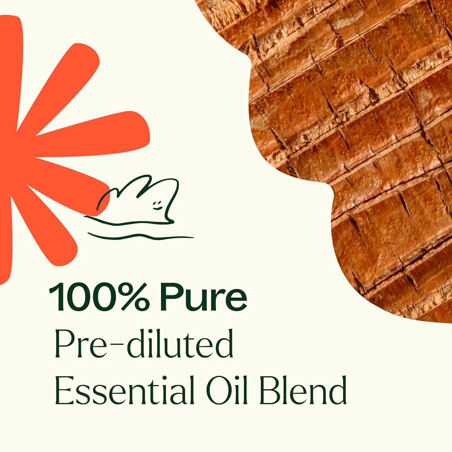 Plant Therapy Chakra 1 Grounded Foundation (Root Chakra) Essential Oil Blend Pre-Diluted Roll-On 10 mL (1/3 oz) 100% Pure, Therapeutic Grade