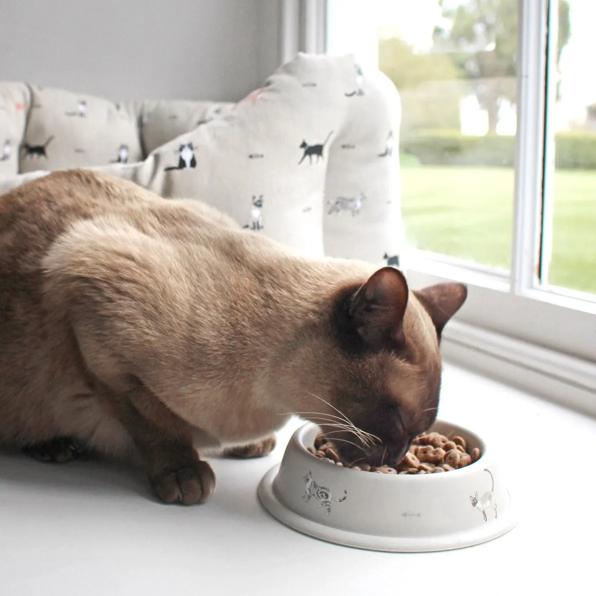 Purrfect Cat Bed - Small