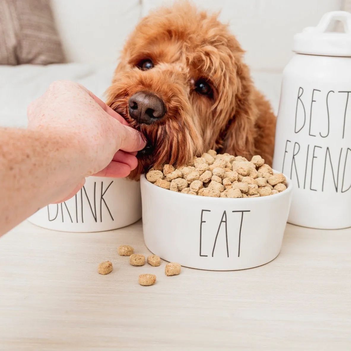 Rae Dunn Artisan "DRINK" 6" Pet Bowl