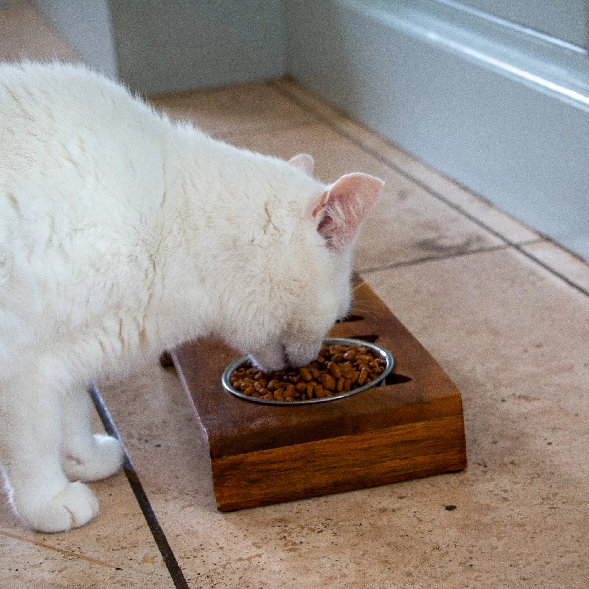 RAISED TWIN CAT FEEDER
